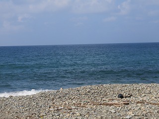 海岸