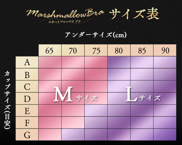 サイズ表
