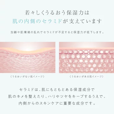 マスターホワイト