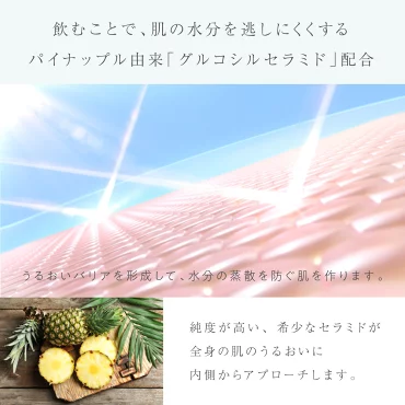 マスターホワイト